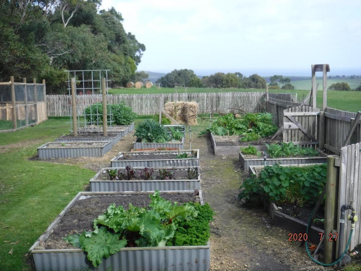 Bed and Breakfast Arabella Country House Princetown Exteriér fotografie
